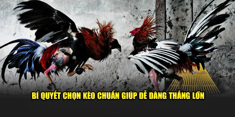 Bí quyết chọn kèo chuẩn giúp dễ dàng thắng lớn