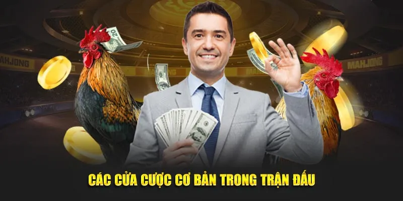 Các cửa cược cơ bản trong trận đấu