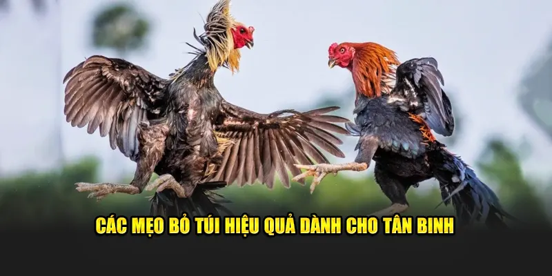 Các mẹo bỏ túi hiệu quả dành cho tân binh 