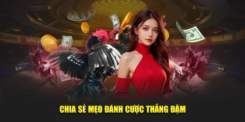 Chia sẻ mẹo đánh cược thắng đậm