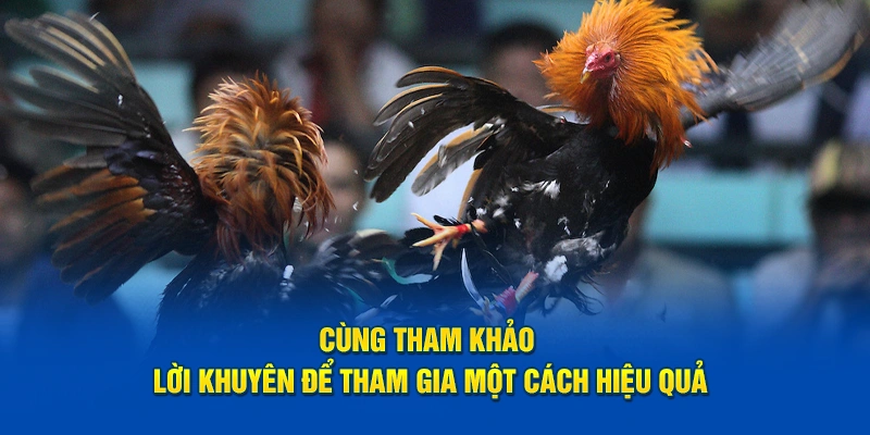 Cùng tham khảo lời khuyên để tham gia một cách hiệu quả
