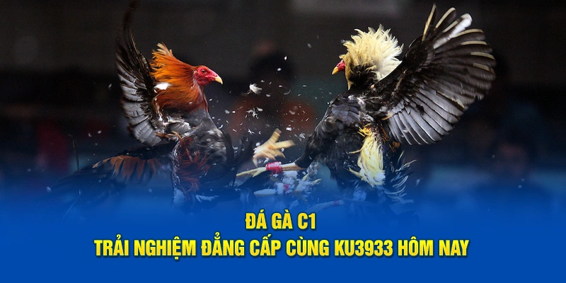 Đá gà C1 KU3933