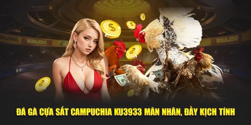 Đá gà cựa sắt Campuchia Ku3933