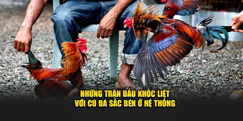 Những trận đấu khốc liệt với cú đá sắc bén ở hệ thống